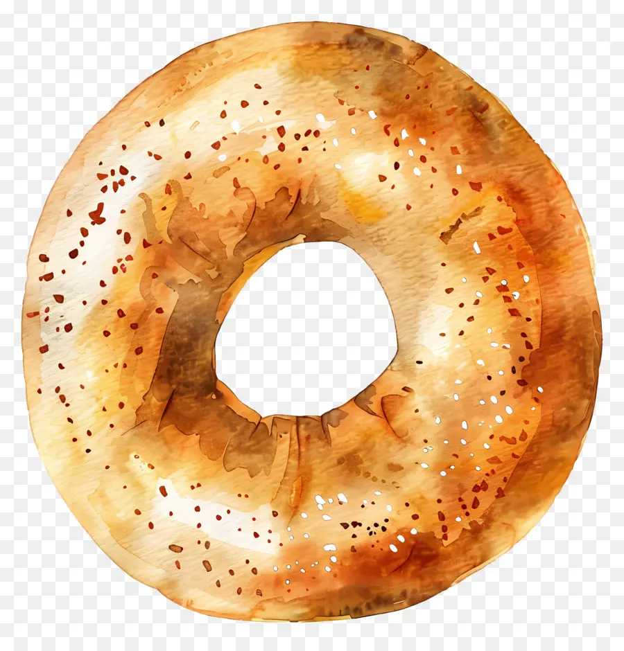 Bagels，Pain PNG