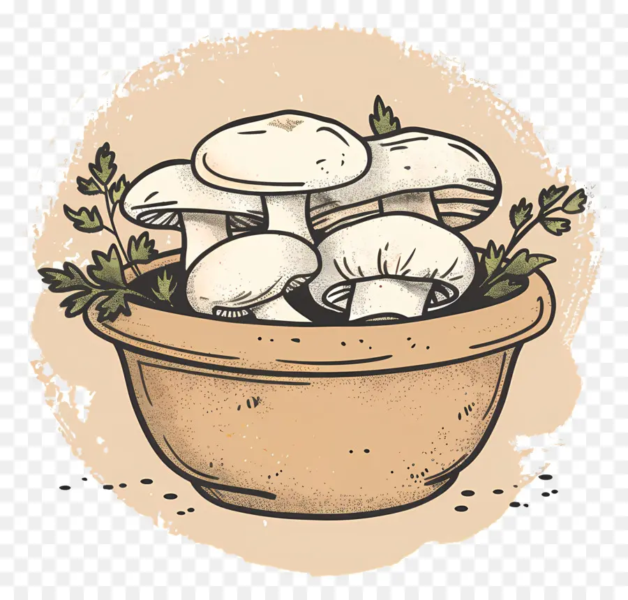 Champignons，Légume PNG