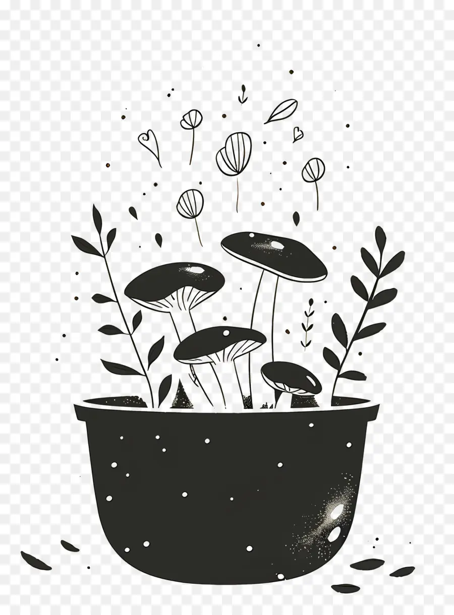 Plantes En Pot，Champignons PNG