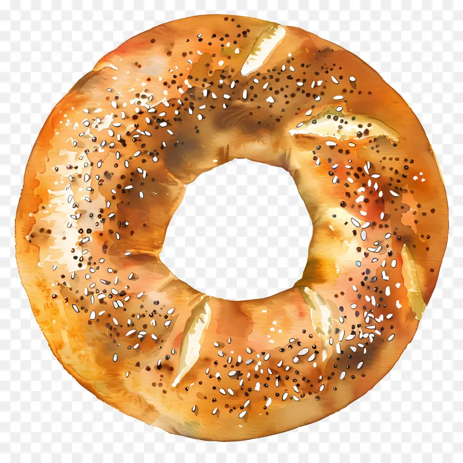 Bagels，Pain PNG