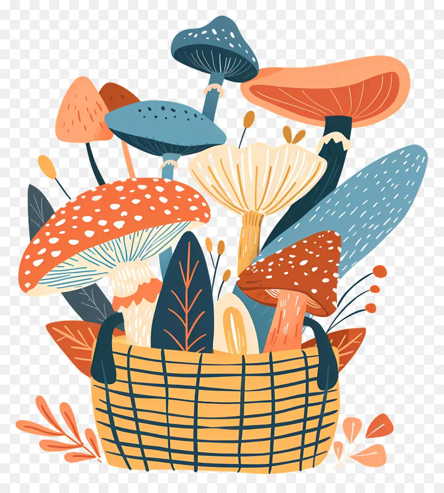 Panier De Champignons，Champignons PNG