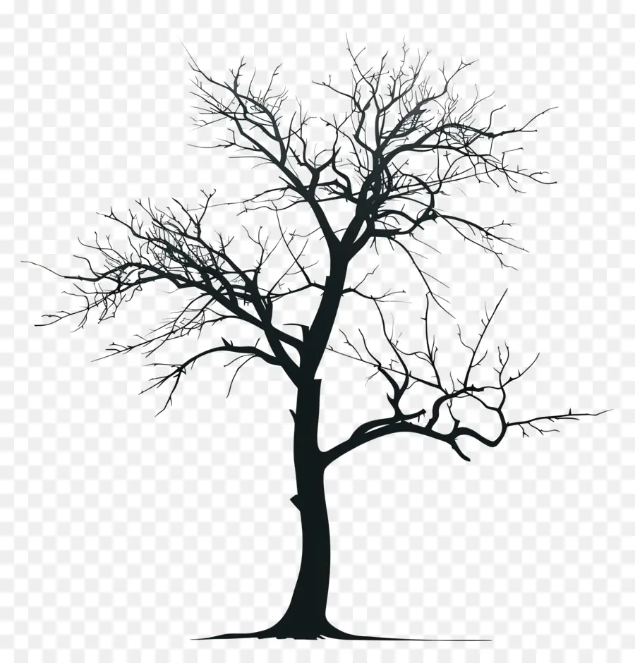 Silhouette D'arbre，Arbre Nu PNG