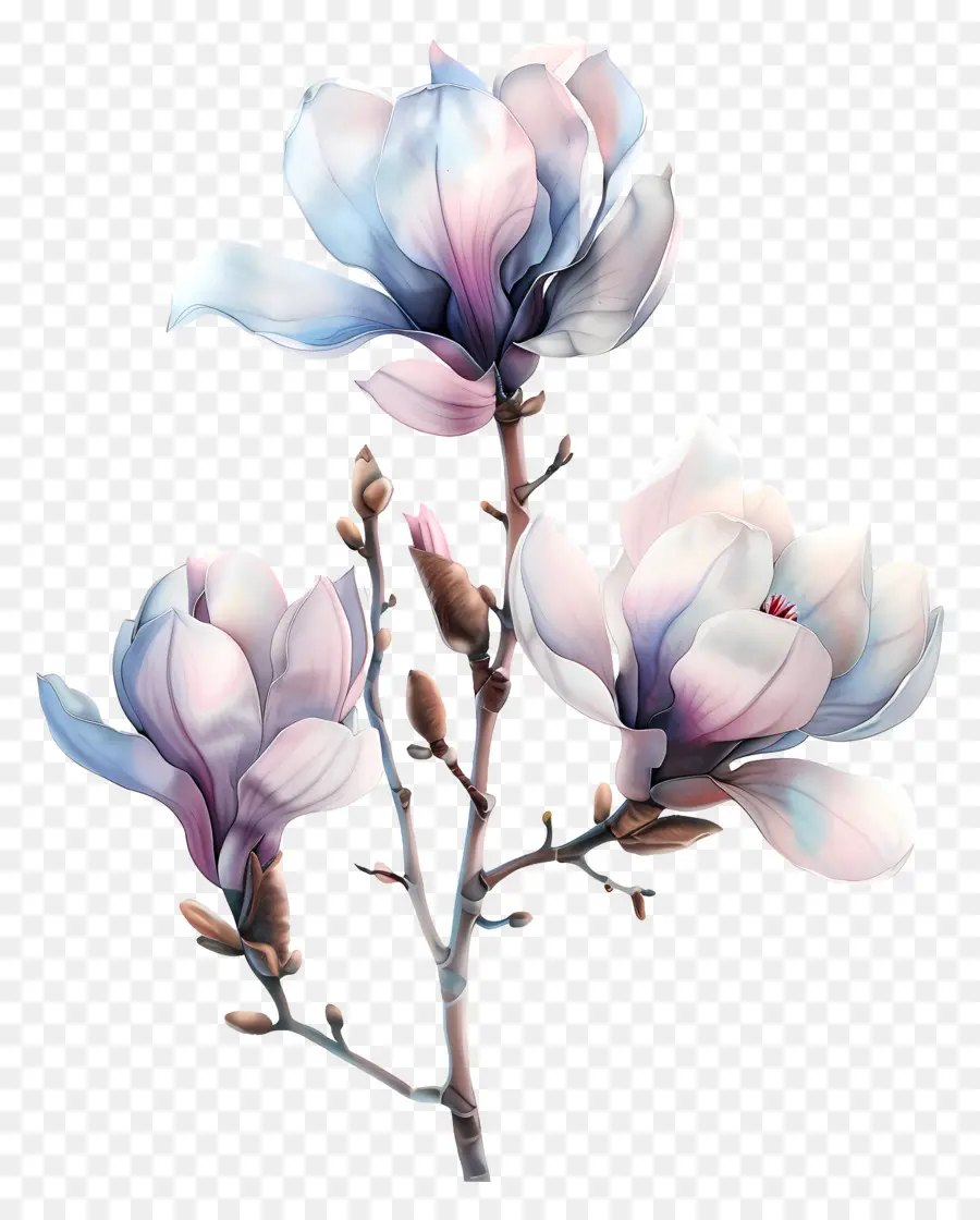 Pastel De Fleurs，Fleur Peinture PNG