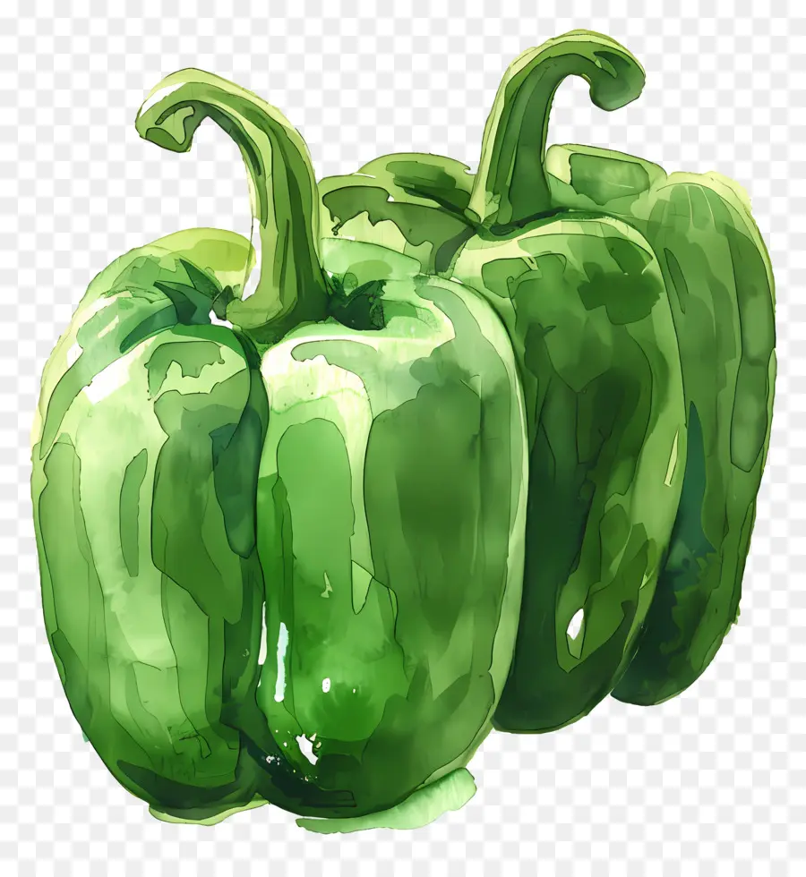 Poivron Vert，Poivre PNG