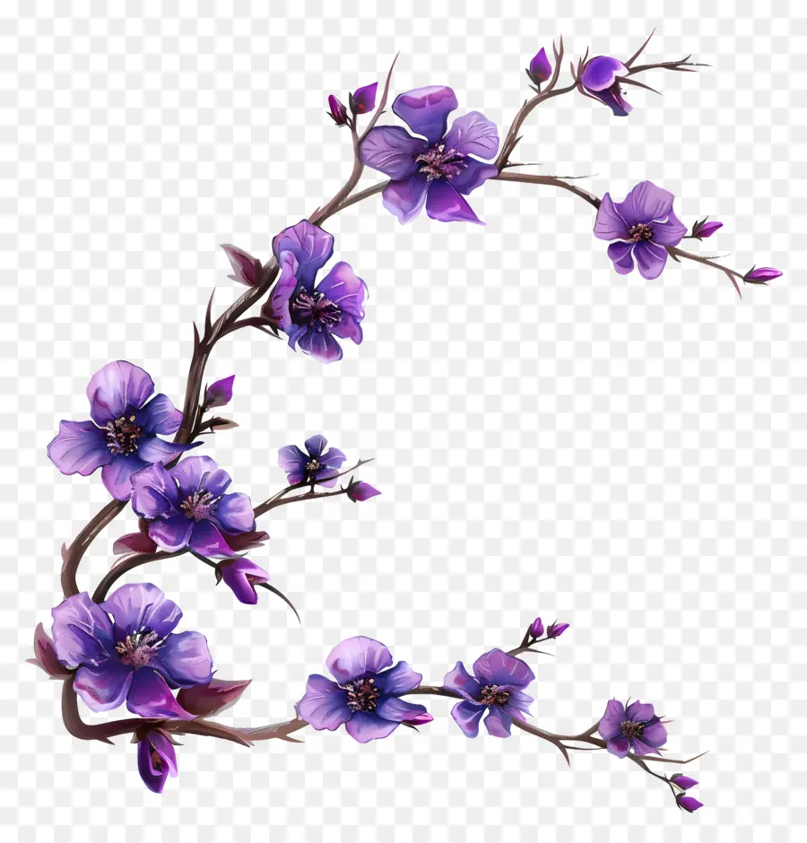 Fleurs，Bifurquer PNG