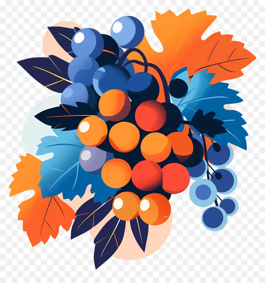 Raisins Et Feuilles，Feuilles PNG