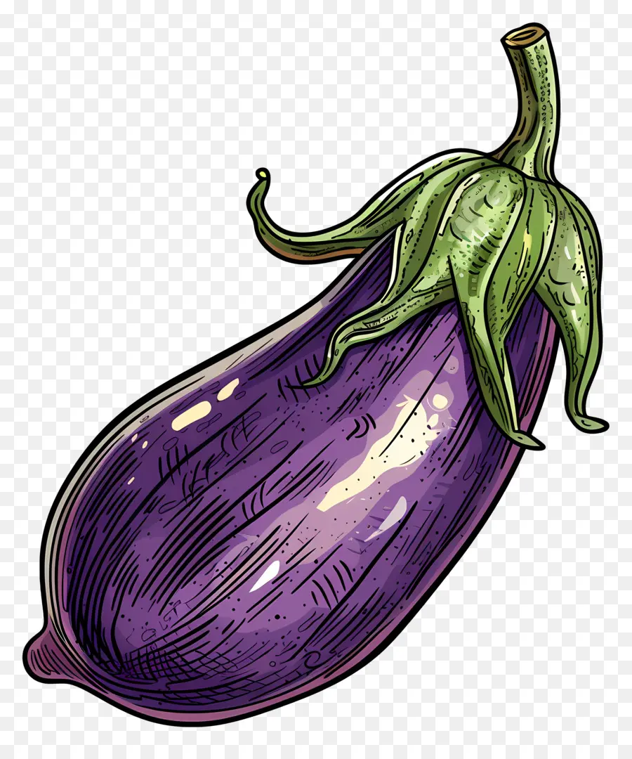 Aubergines，Aubergine PNG