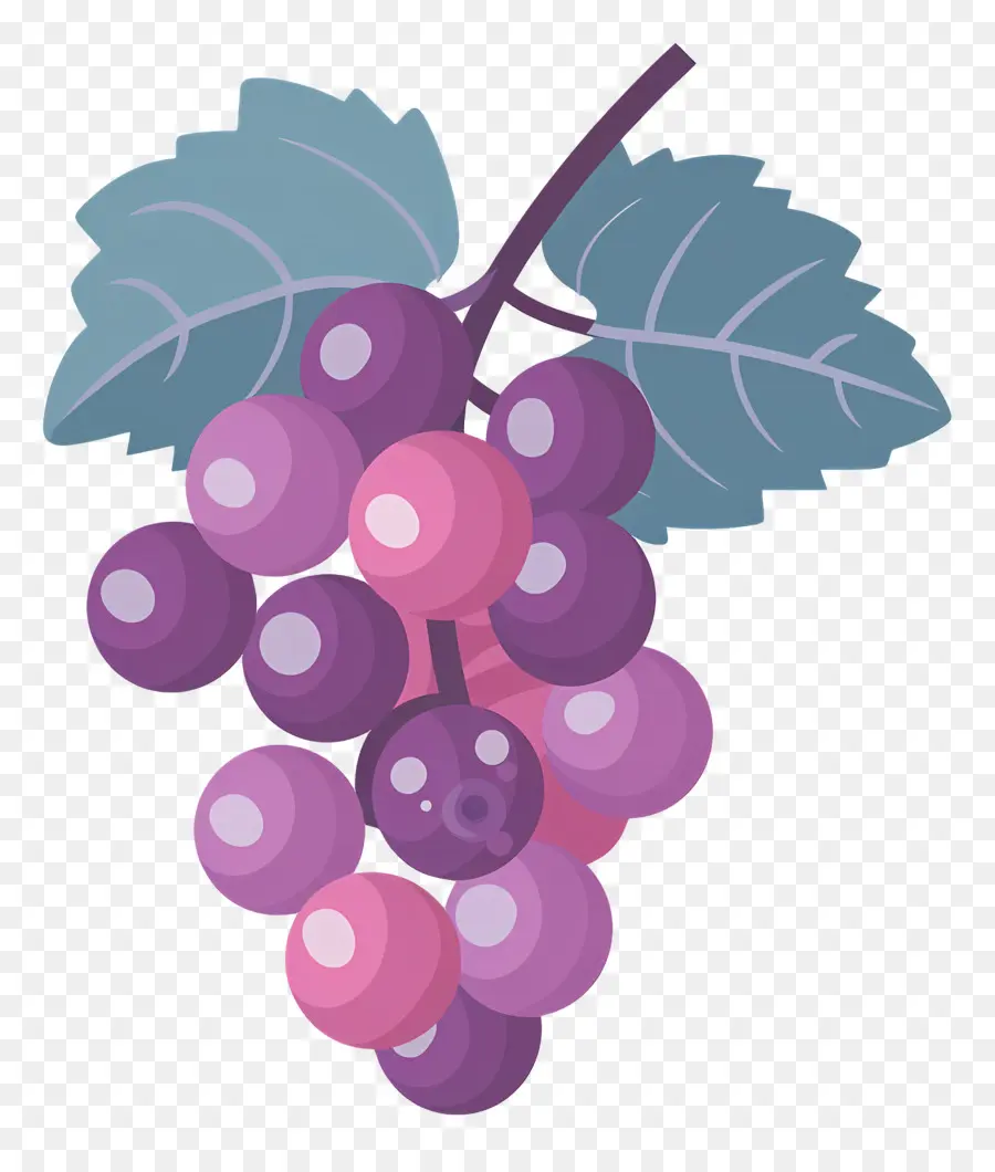 Raisins，Violet PNG