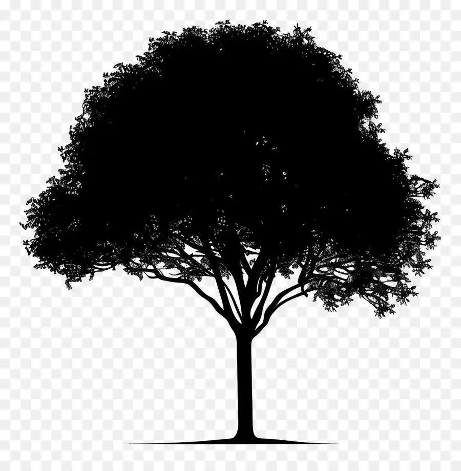 Silhouette D'arbre，Sombre Arbre PNG