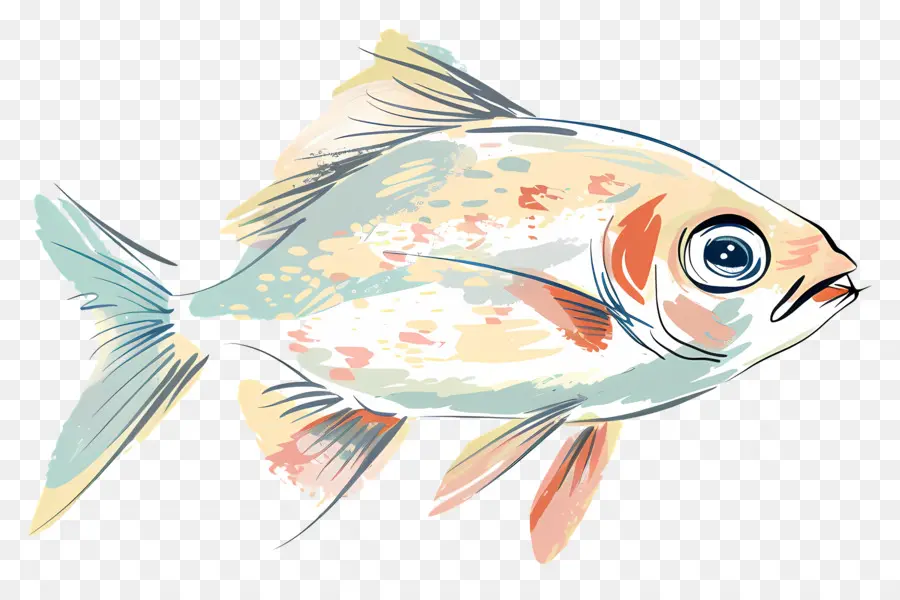 Les Poissons，Dessin PNG