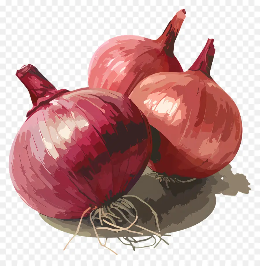 Oignons Rouges，Oignons PNG