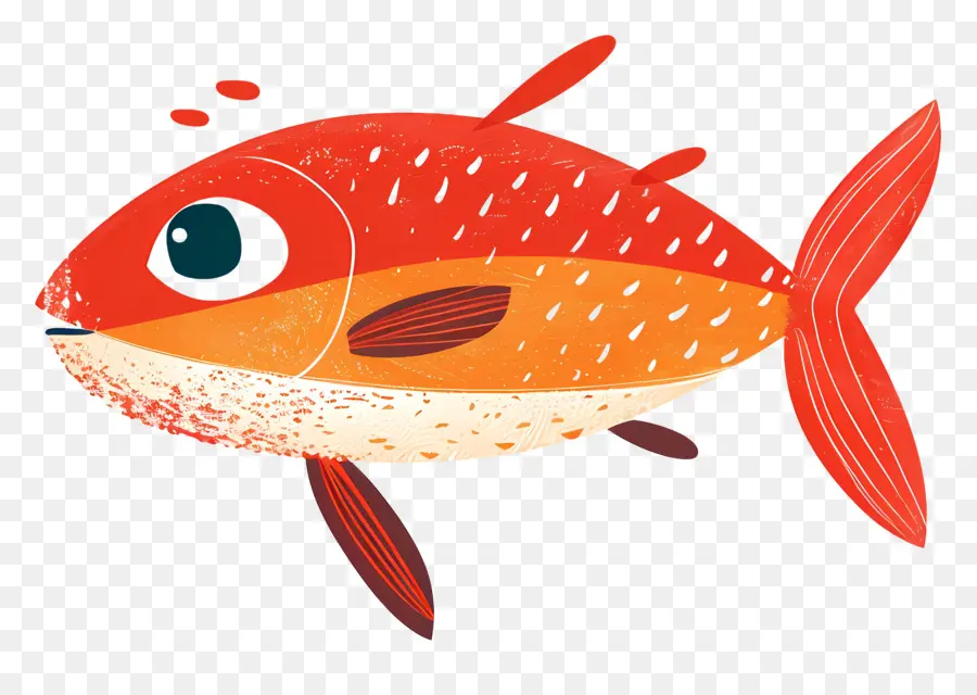 Poisson Coloré，Aquatique PNG