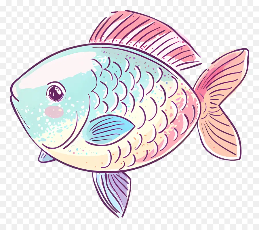 Poisson Coloré，Aquatique PNG