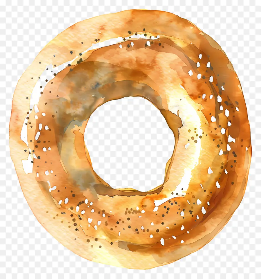 Bagel，Pain PNG