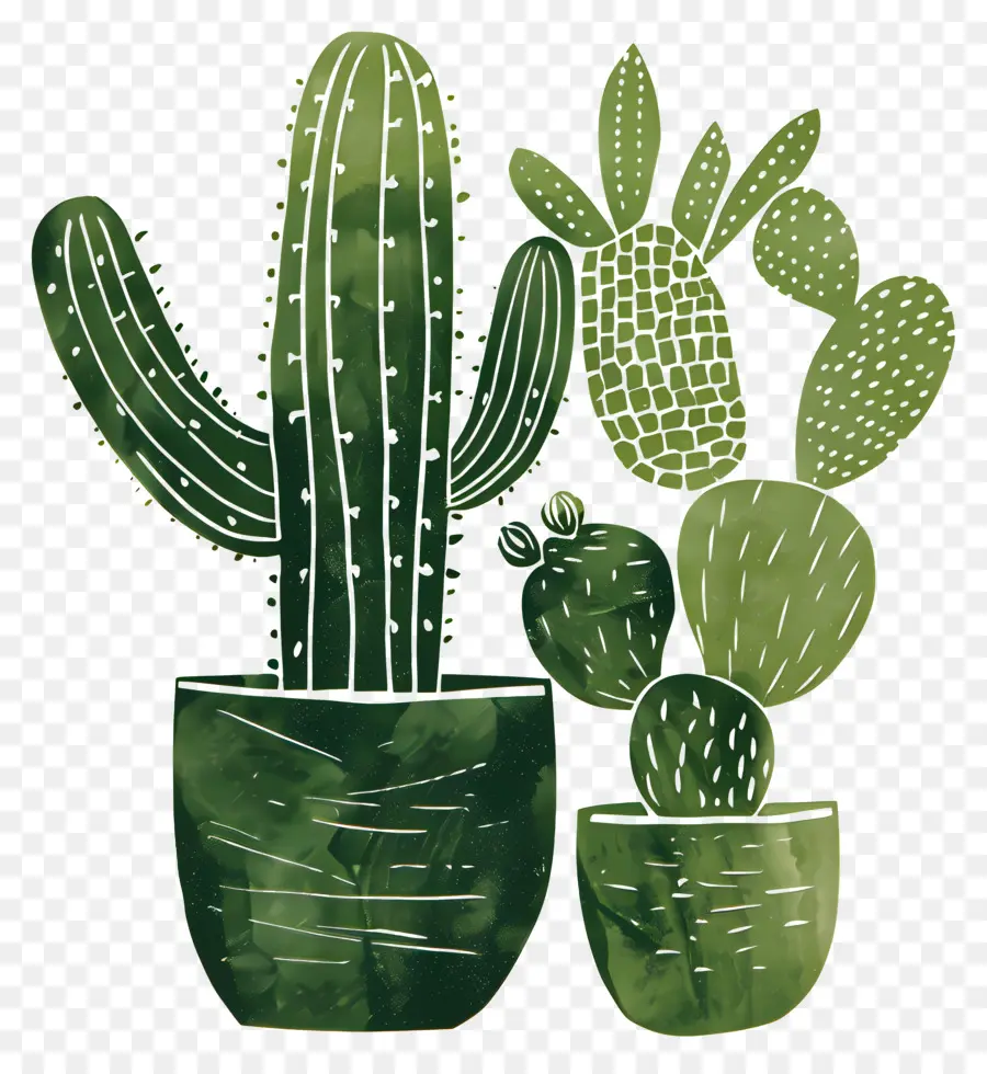 Plantes De Cactus，Succulent PNG