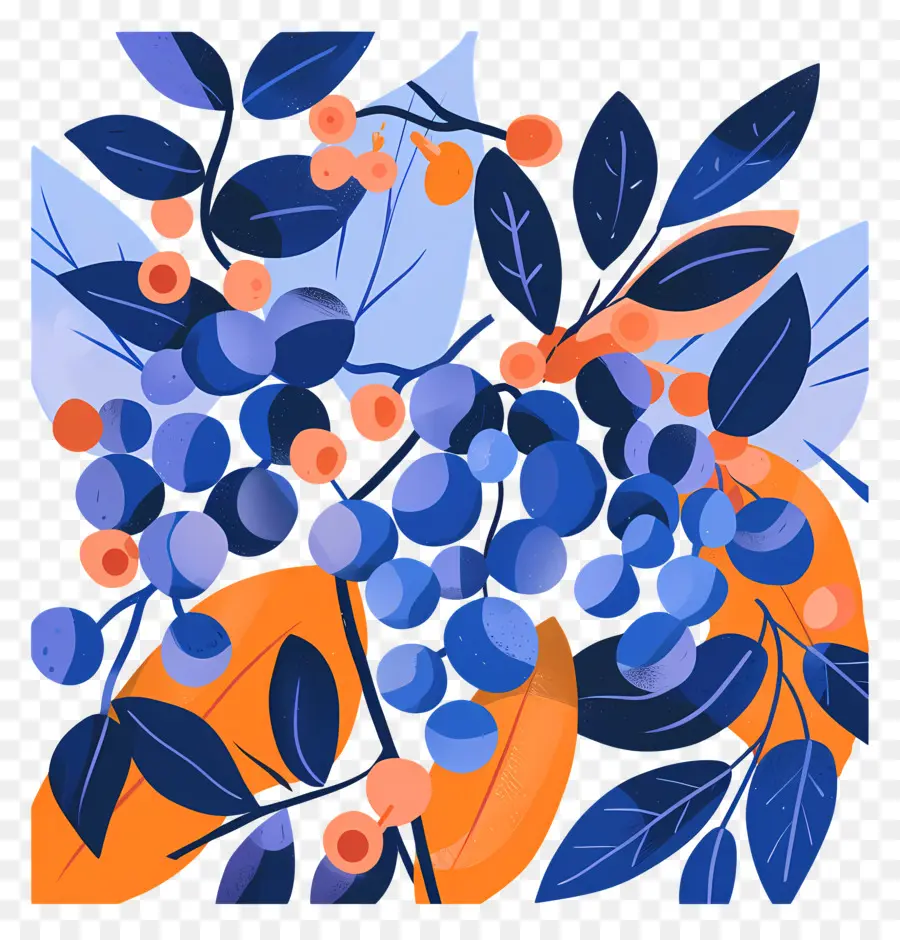 Bleuets，Feuilles PNG