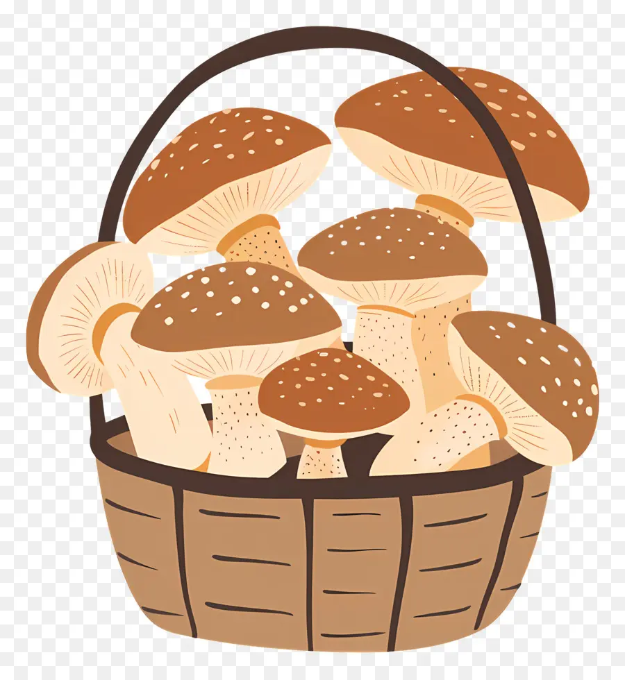 Panier De Champignons，Champignons PNG