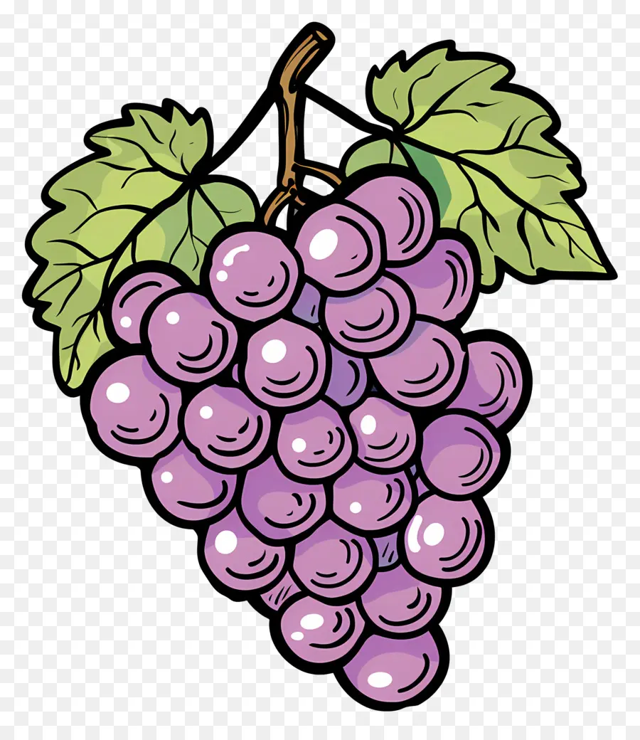 Raisins，Vigne PNG