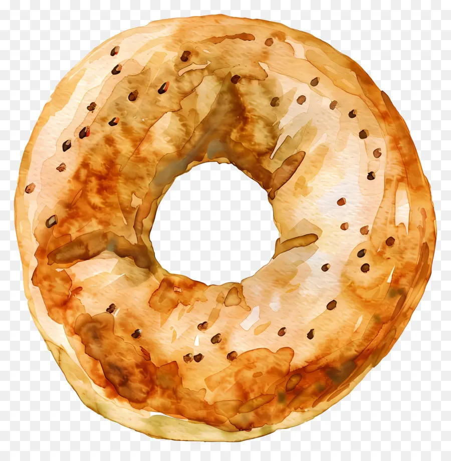 Bagels，Pain PNG