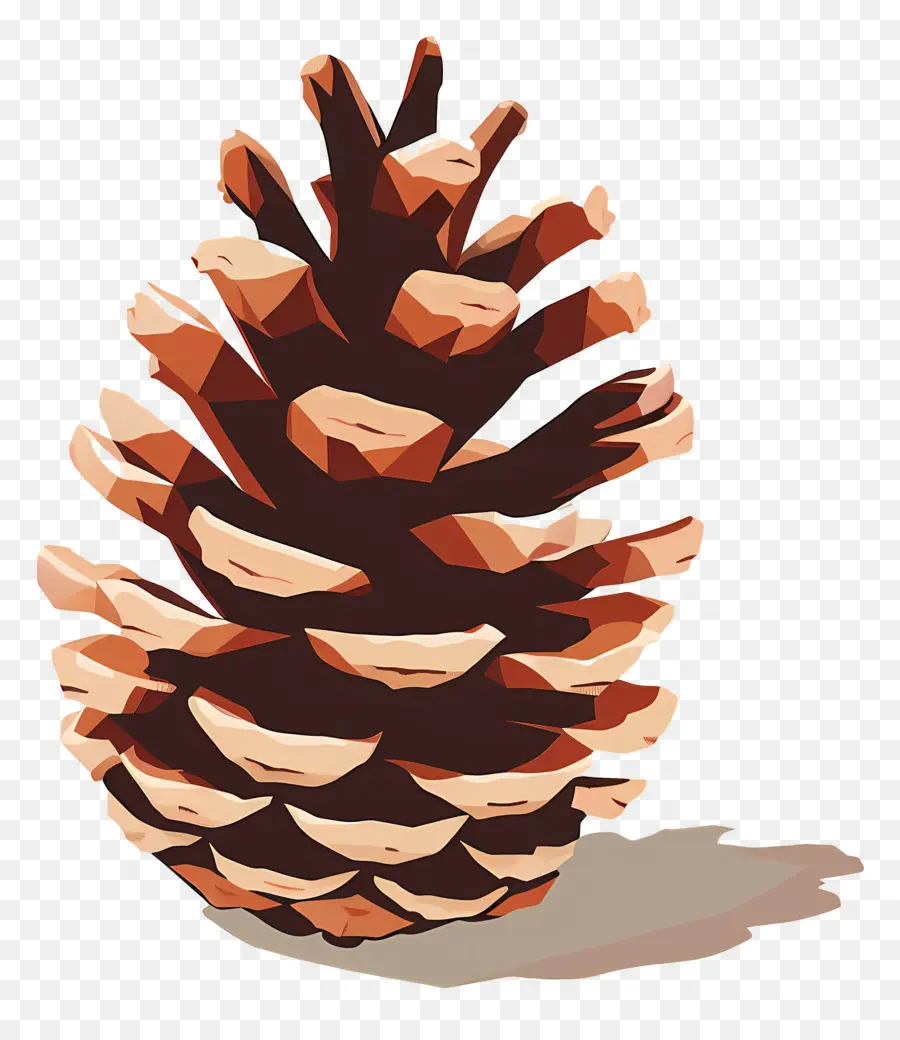 Pomme De Pin，Brun PNG