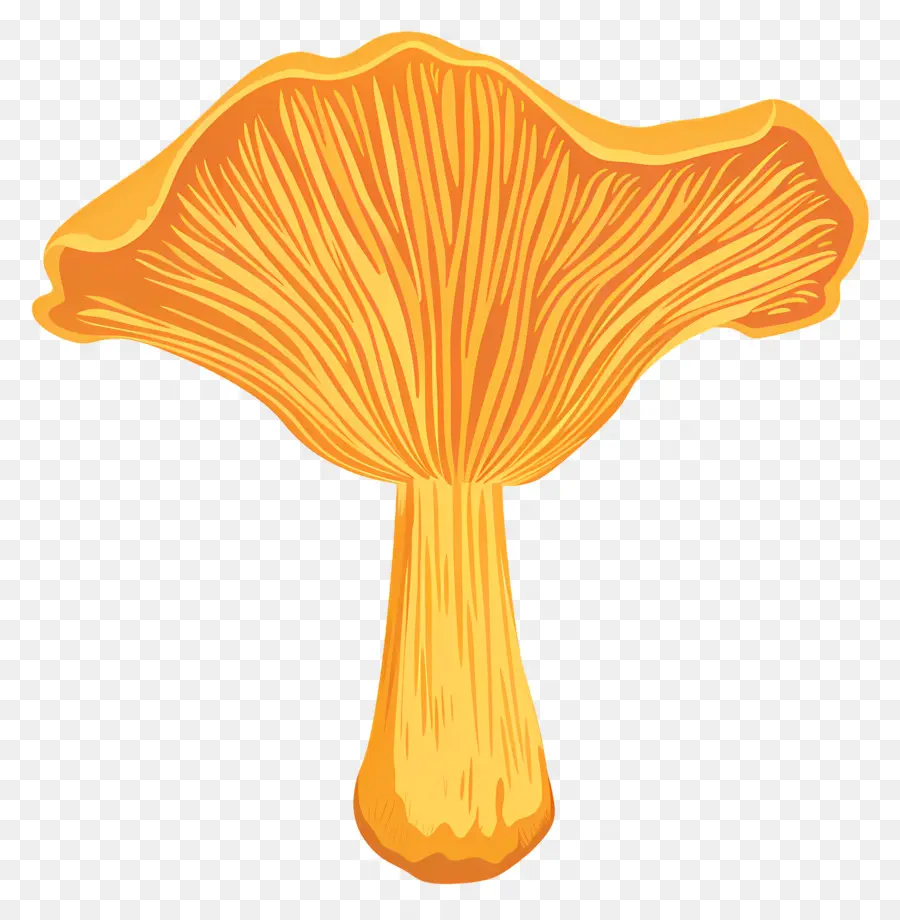 Champignon Orange，Champignons PNG