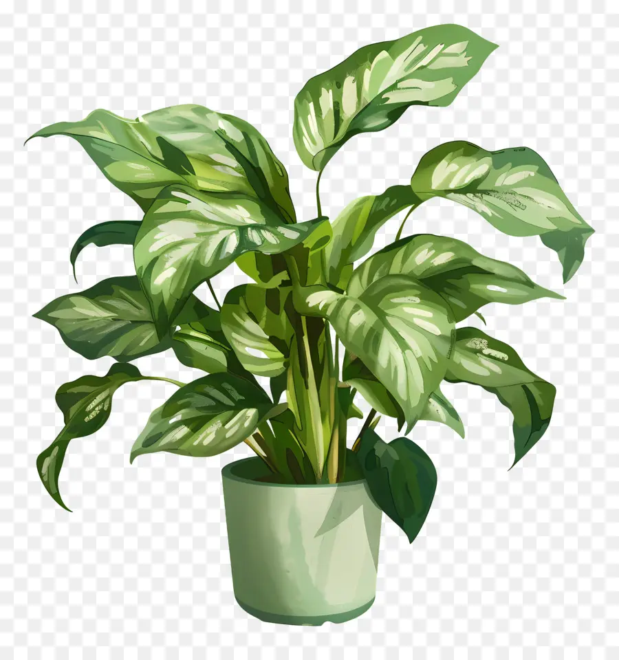 Plante En Pot，Feuilles PNG