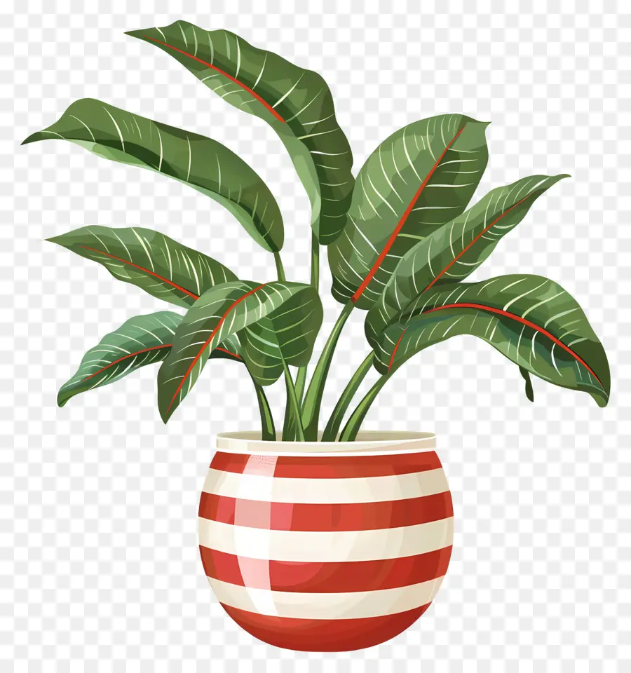 Plante En Pot，Feuilles PNG