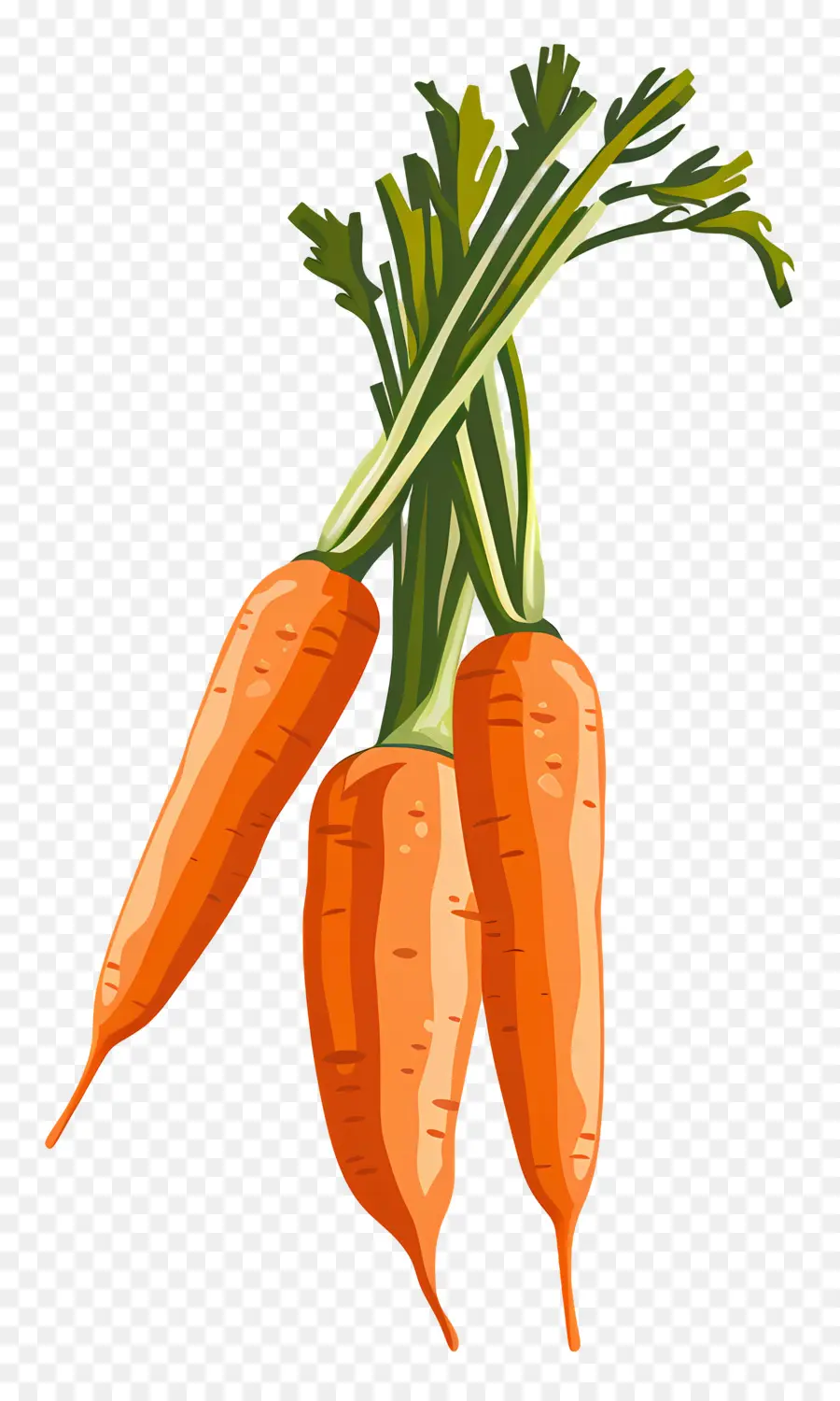 Carottes，Orange PNG