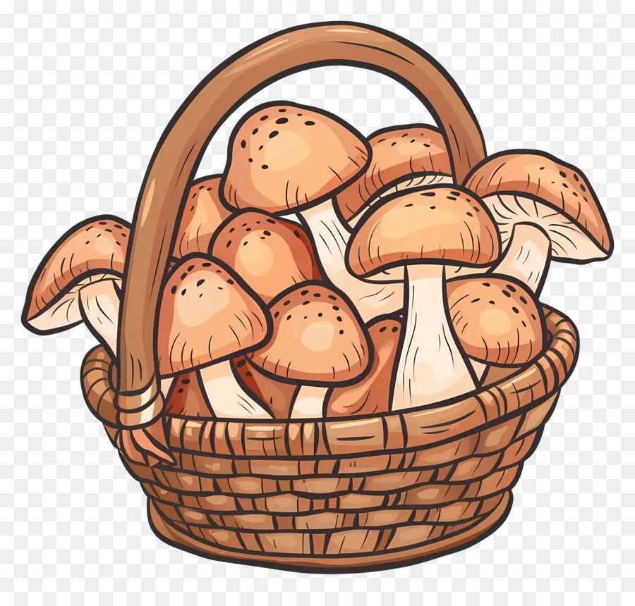 Champignons Dans Le Panier，Panier PNG