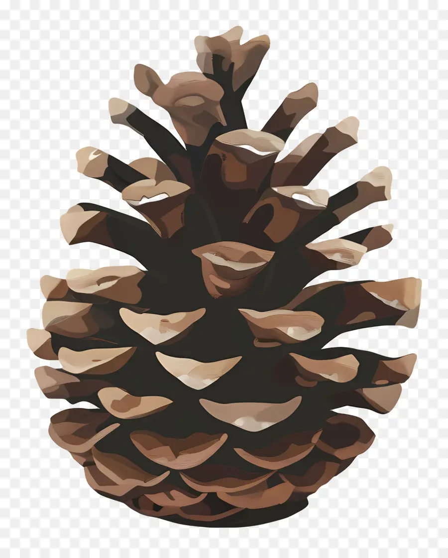 Pomme De Pin，Cône De Pin PNG