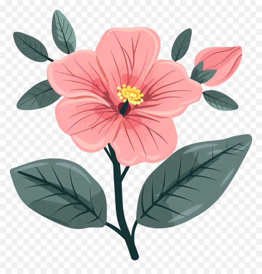 Botanique Fleur，Fleur Rose PNG