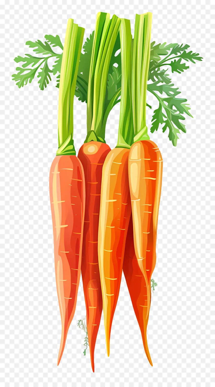 Carottes，Orange PNG