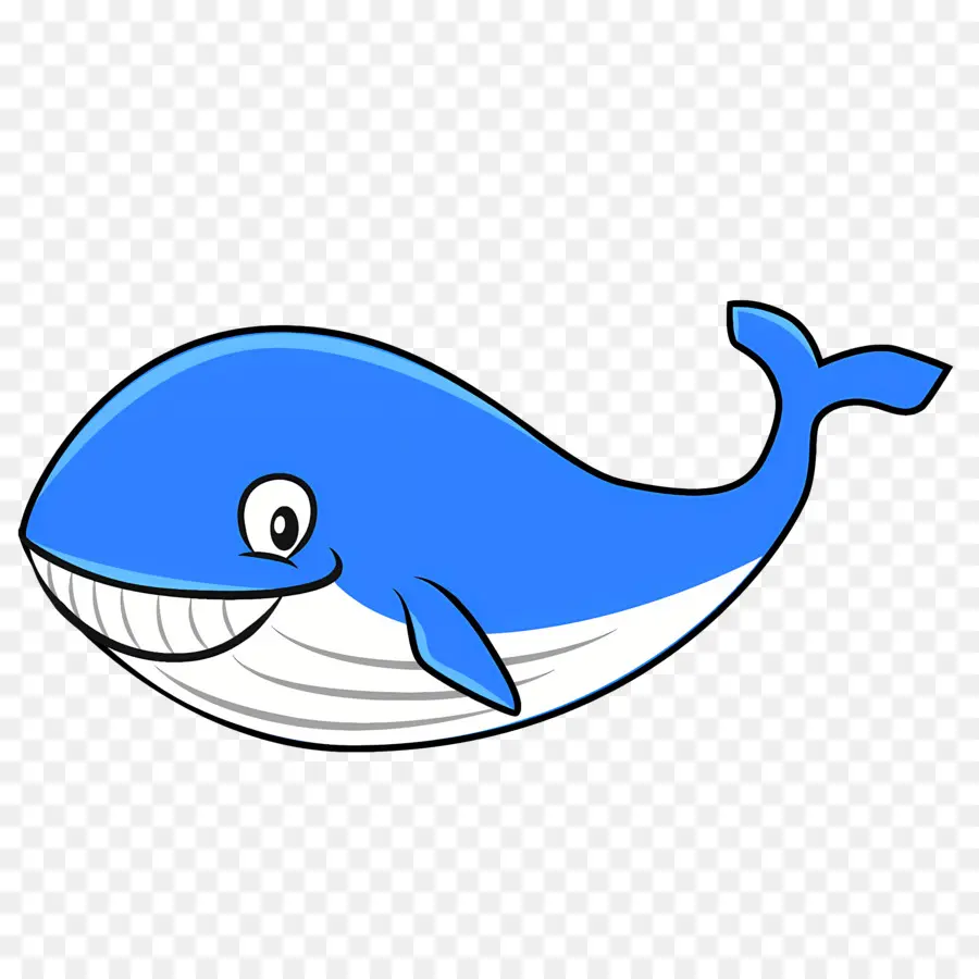 Baleine，Baleine Bleue PNG