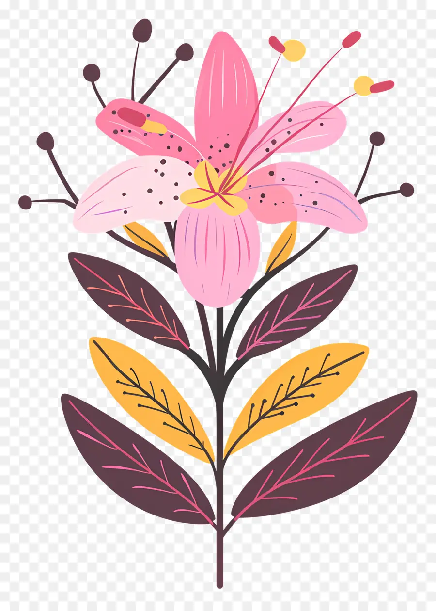 Botanique Fleur，Fleur Rose PNG