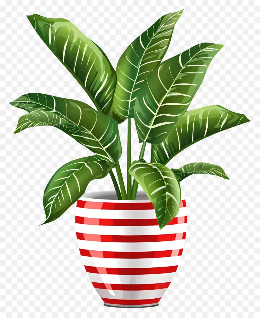 Plante En Pot，Feuilles PNG