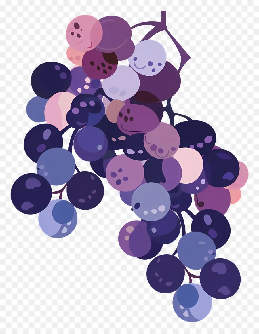 Raisins，Vigne PNG