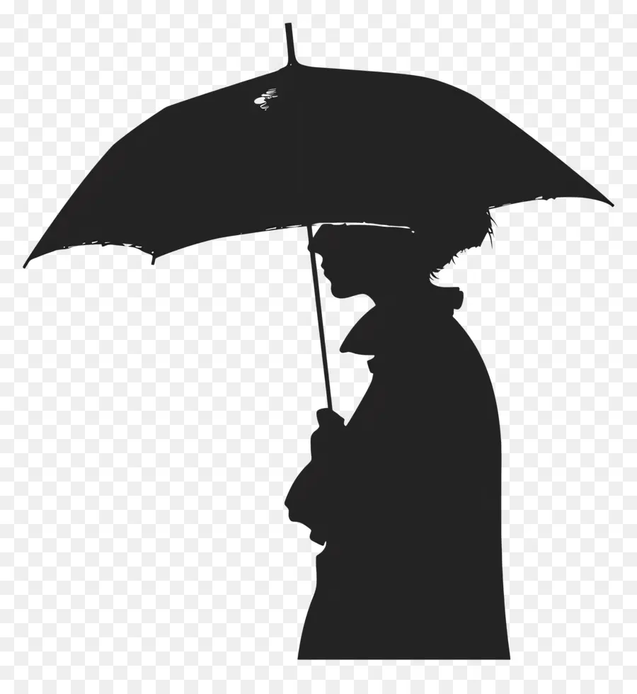 Parapluie Silhouette，Femme PNG