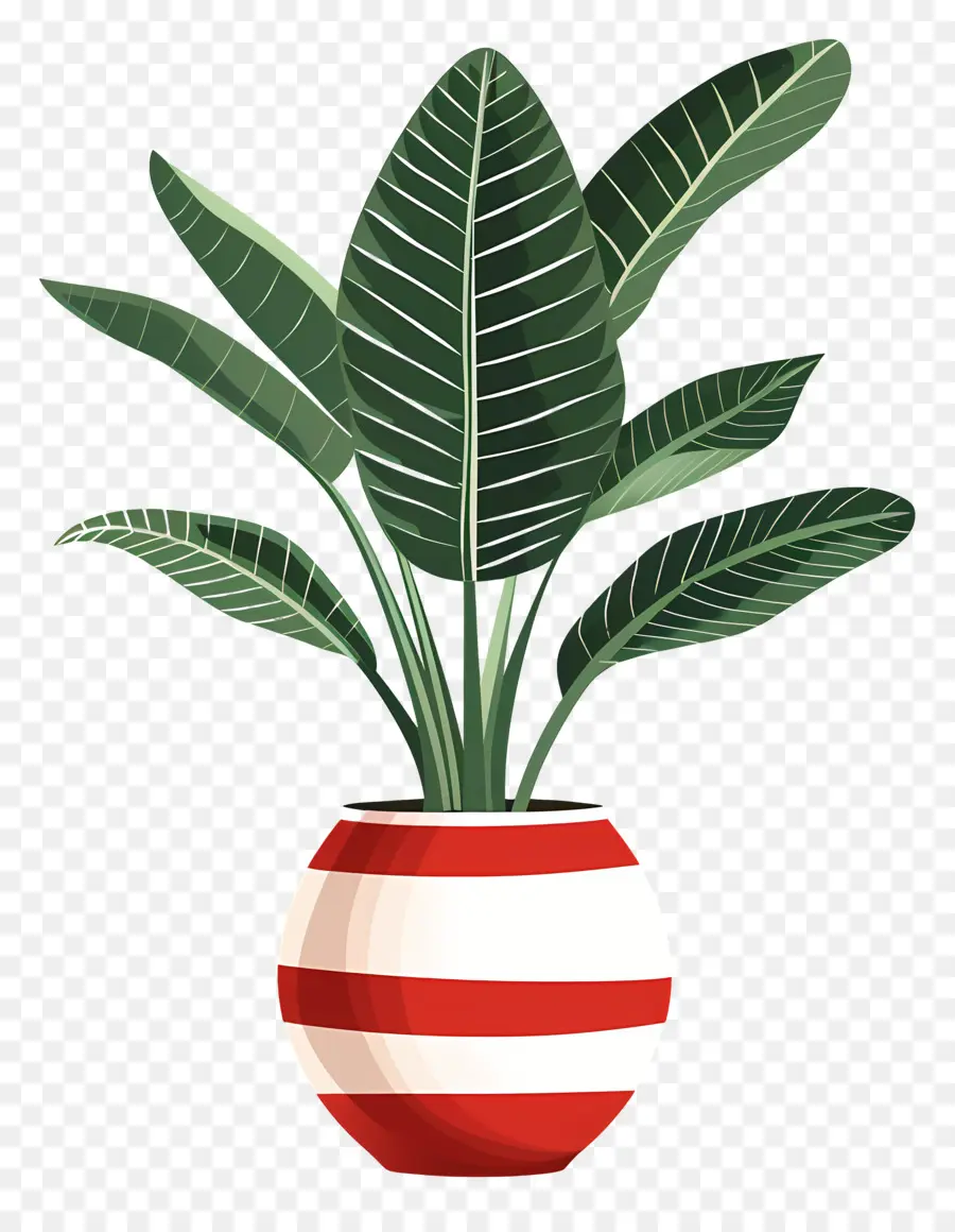 Plante En Pot，Feuilles PNG