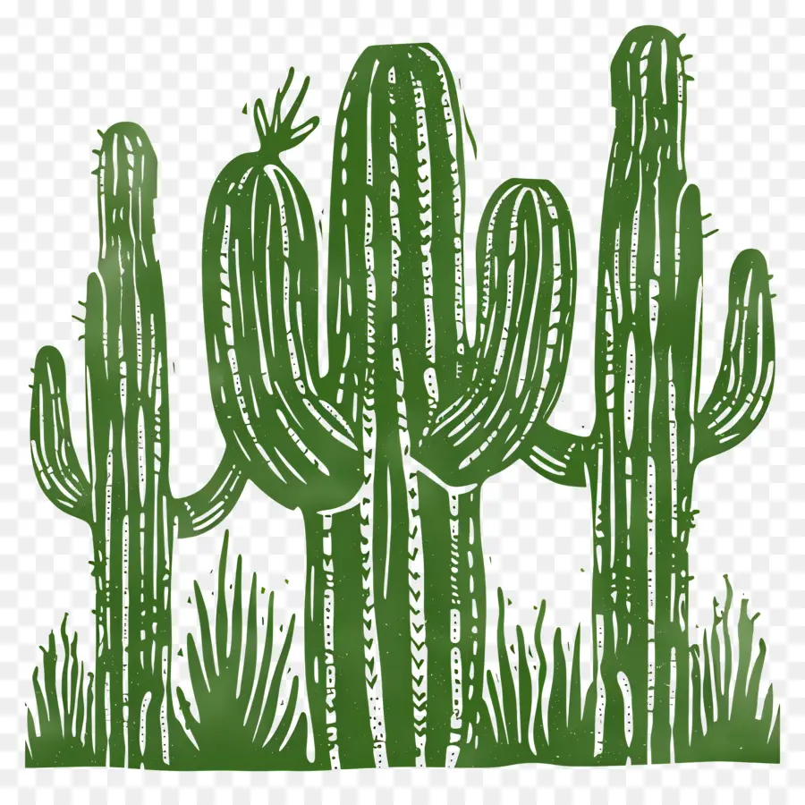 Cactus Linocut，Cactus PNG