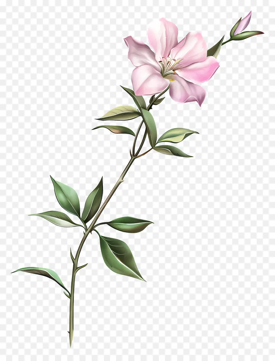 Pastel De Fleurs，Fleur Rose PNG