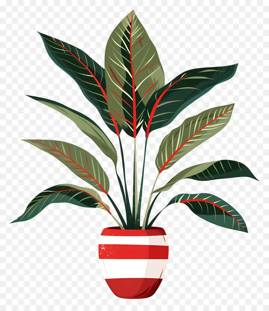 Plante En Pot，Feuilles PNG