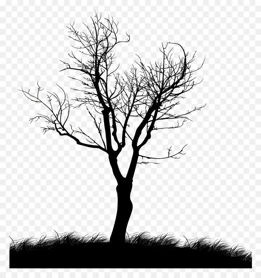 Silhouette D'arbre，L'arbre Noir PNG