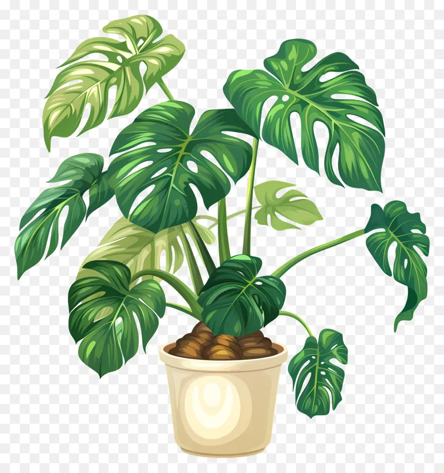 Plante En Pot，Feuilles PNG