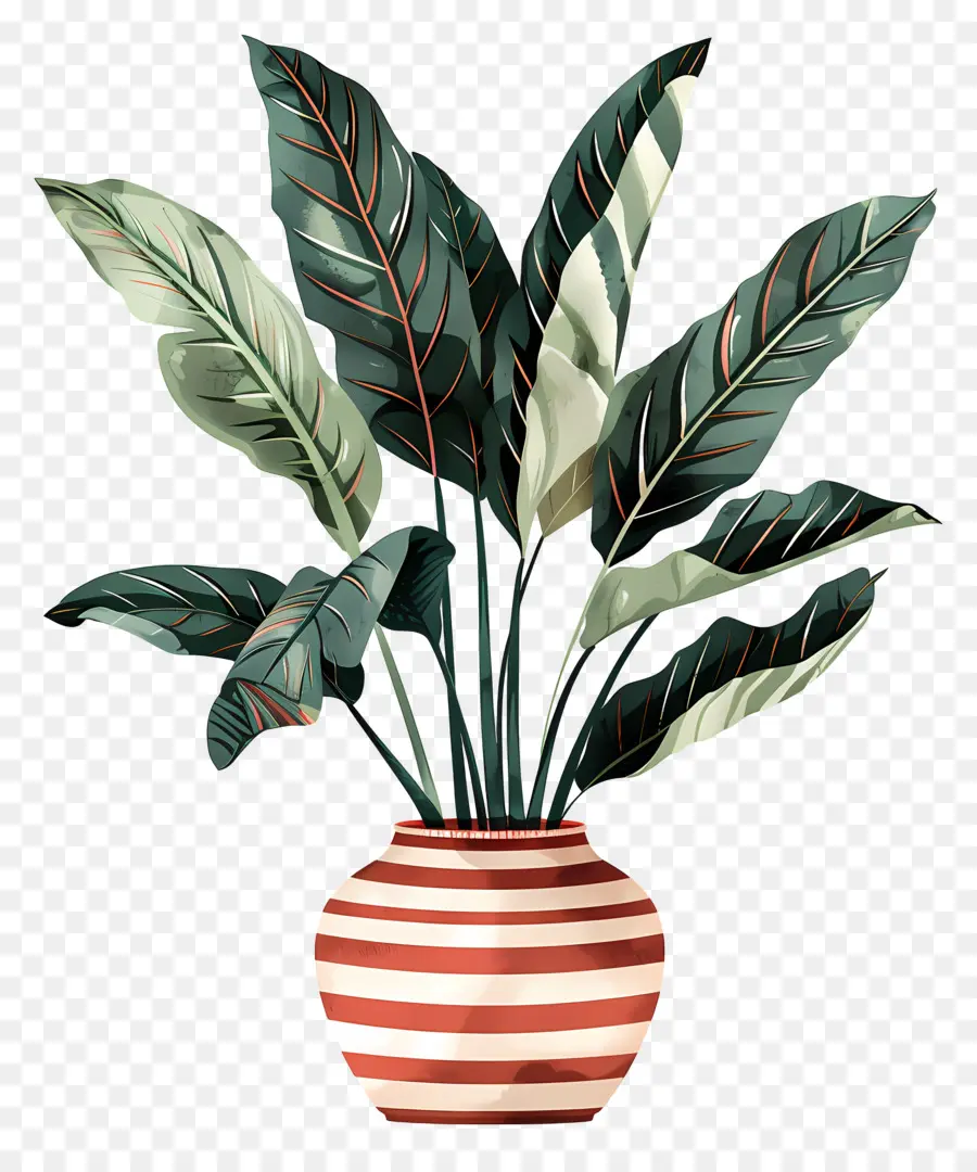 Plante En Pot，Feuilles PNG