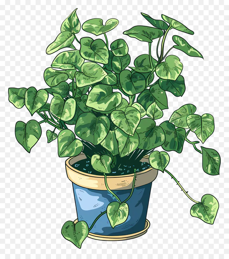 Plante En Pot，Feuilles PNG