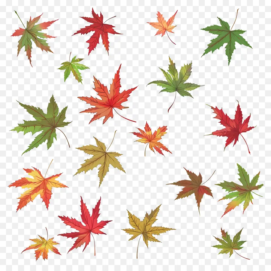 Feuilles D'automne，Automne PNG