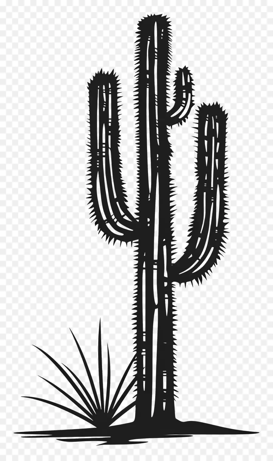 Silhouette De Cactus Saguaro，Cactus PNG