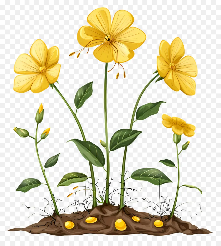 Plante à Fleurs Jaunes，Fleur PNG