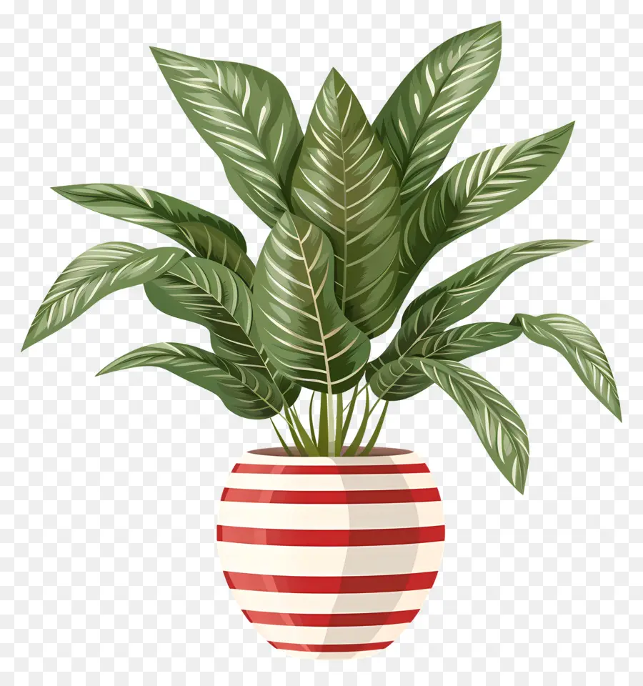 Plante Tropicale，Plante En Pot PNG