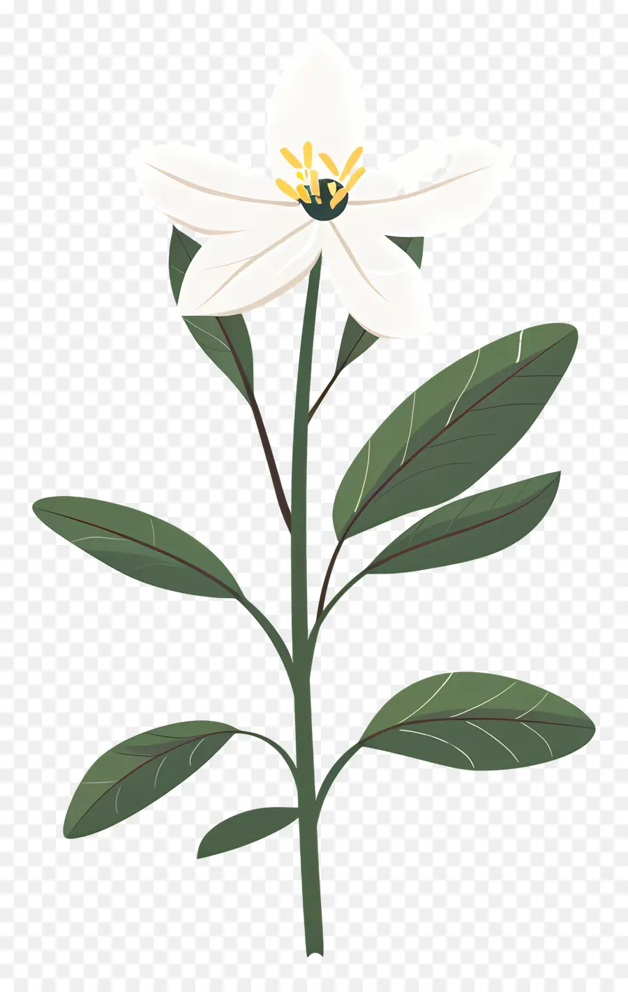 Botanique Fleur，Fleur Blanche PNG